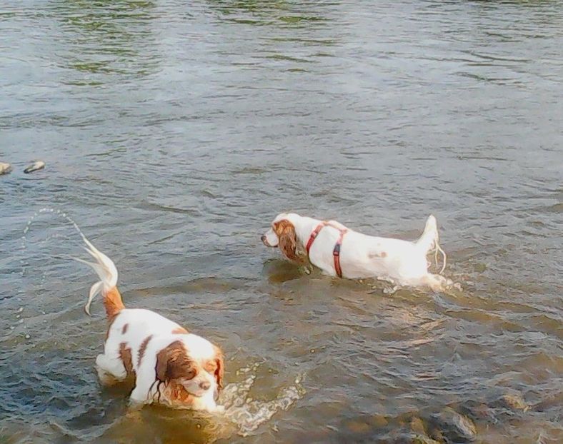 Nuovo_1_Photo9328 - Mimi