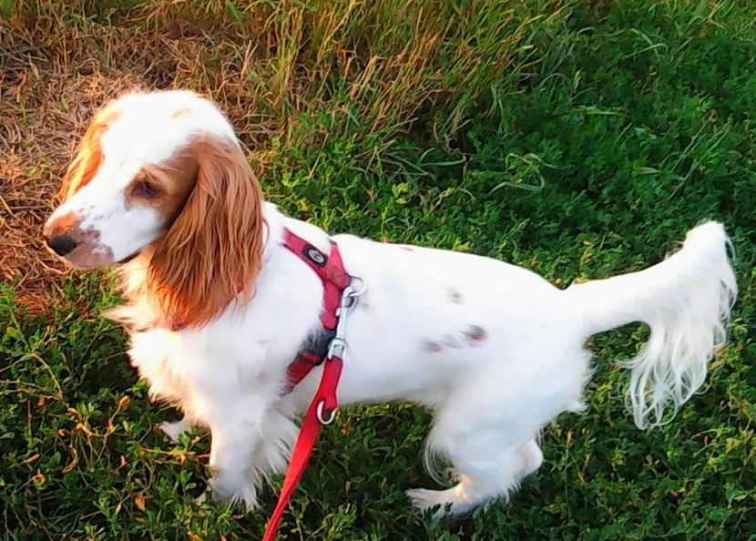 Nuovo_1_Photo9223 - Mimi