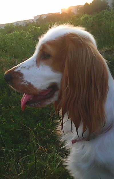 Nuovo_1_Photo9174 - Mimi