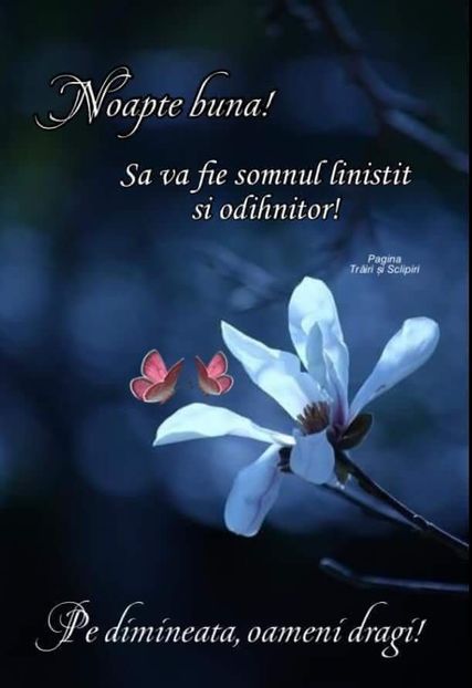  - Poze 5