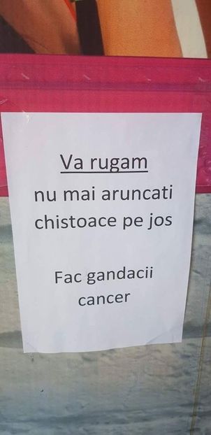  - Poze 5