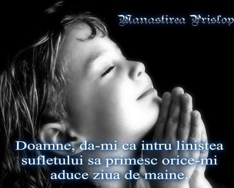  - Poze 5