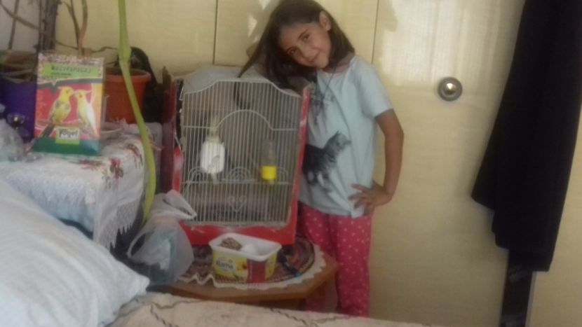 20180820_143033(0) - Orşova