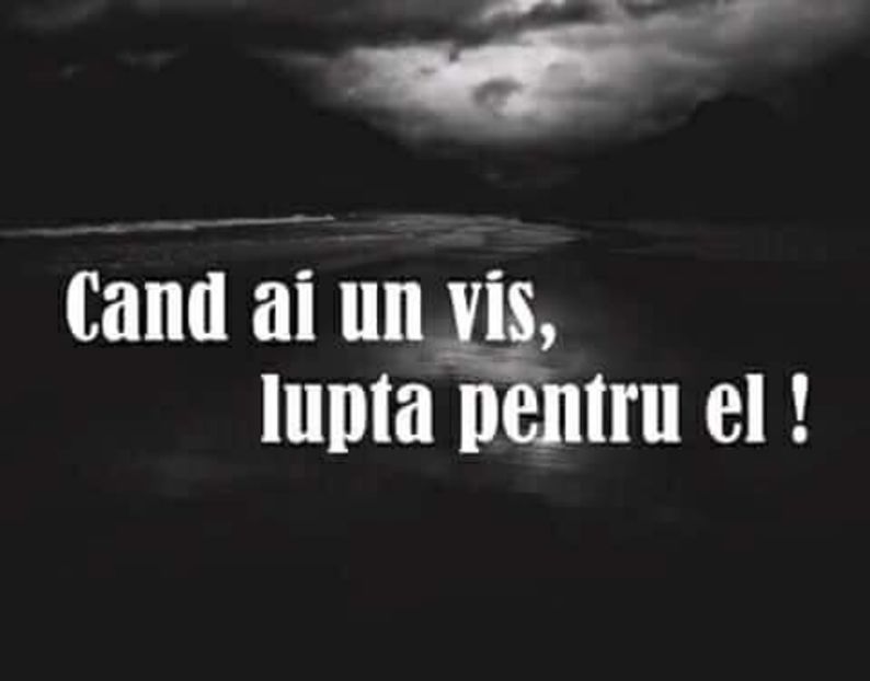  - Poze 5