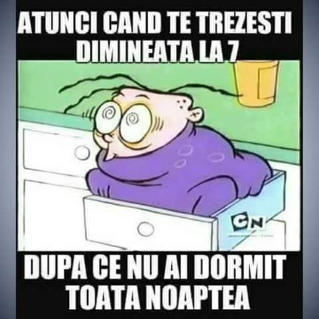  - Poze 5