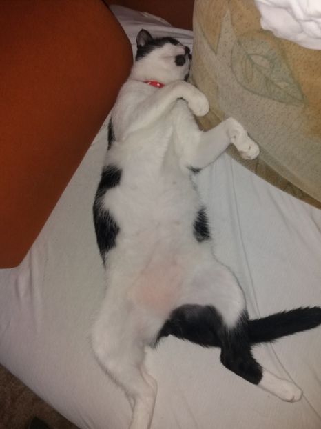  - Duracel septembrie 2018