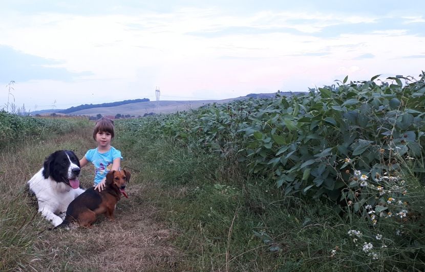 26 august 18 - 1-C R B Codi-Bura-Ozana-Guta si fetele