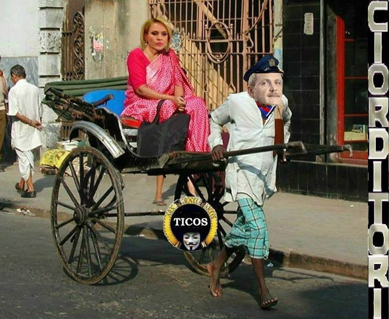  - Poze haioase pamflet