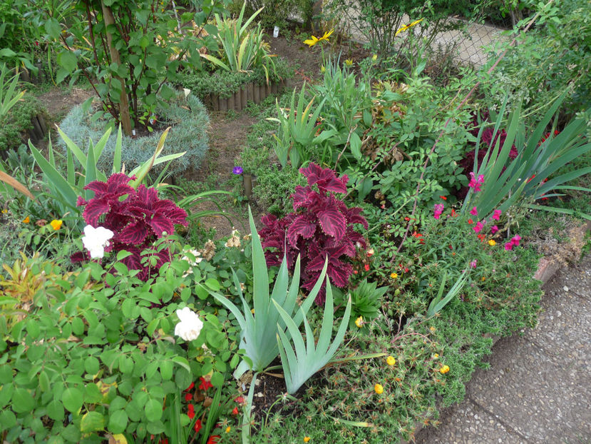  - 2018 - 03 - Toamna