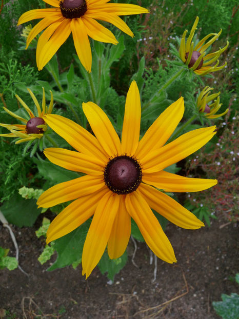  - 2018 - 03 - Toamna