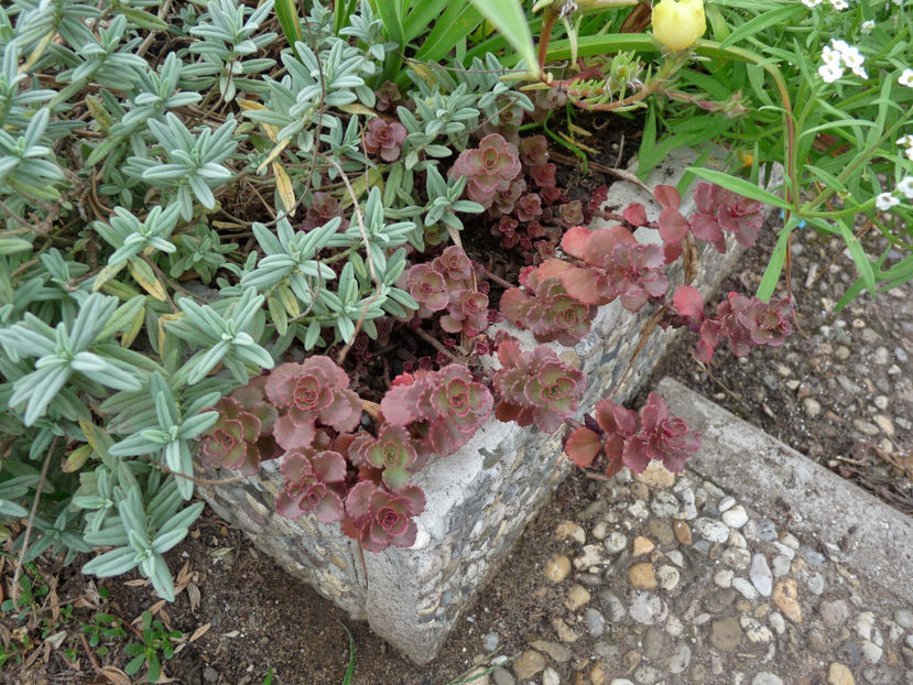  - 2018 - 03 - Toamna