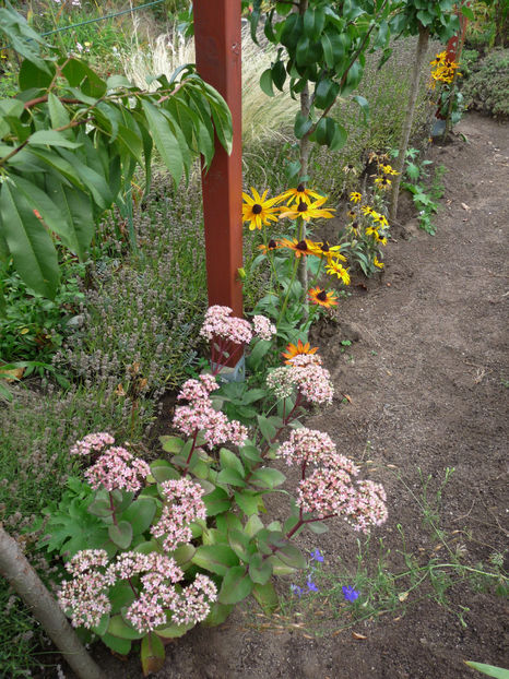 Ce a mai rezistat! - 2018 - 03 - Toamna