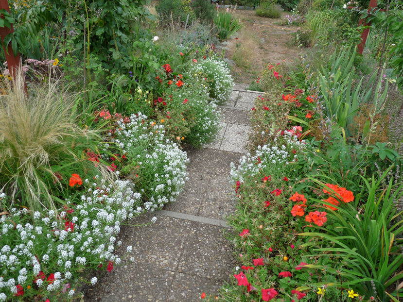  - 2018 - 03 - Toamna