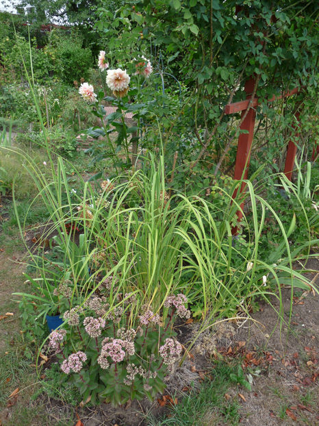  - 2018 - 03 - Toamna