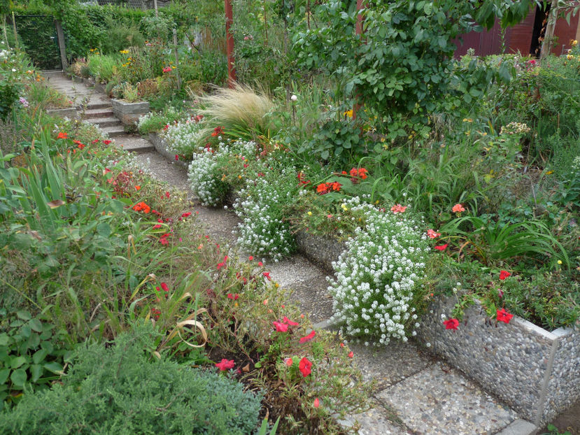  - 2018 - 03 - Toamna