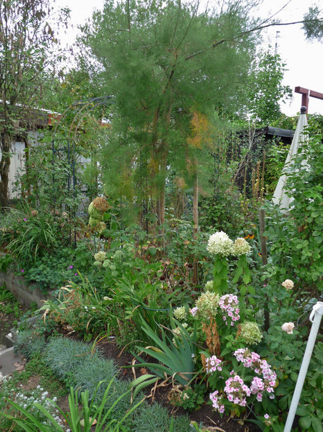  - 2018 - 03 - Toamna