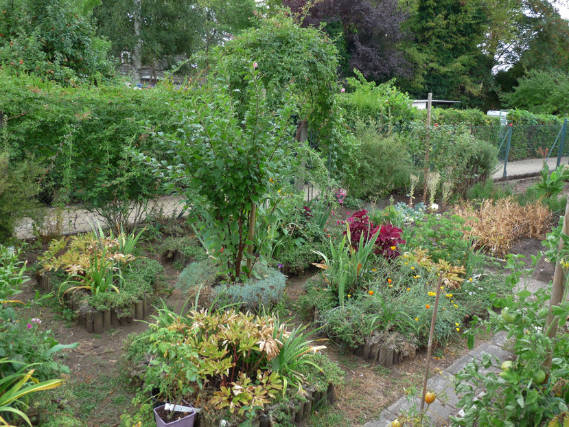  - 2018 - 03 - Toamna