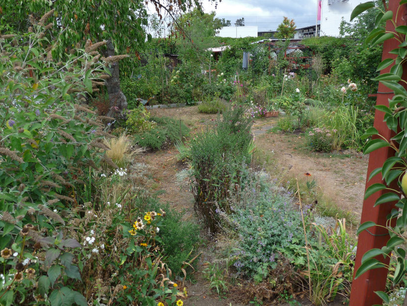  - 2018 - 03 - Toamna