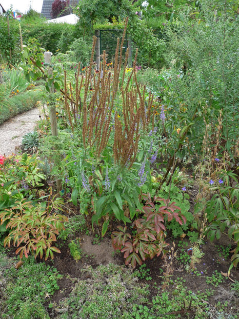 Veronica - 2018 - 03 - Toamna