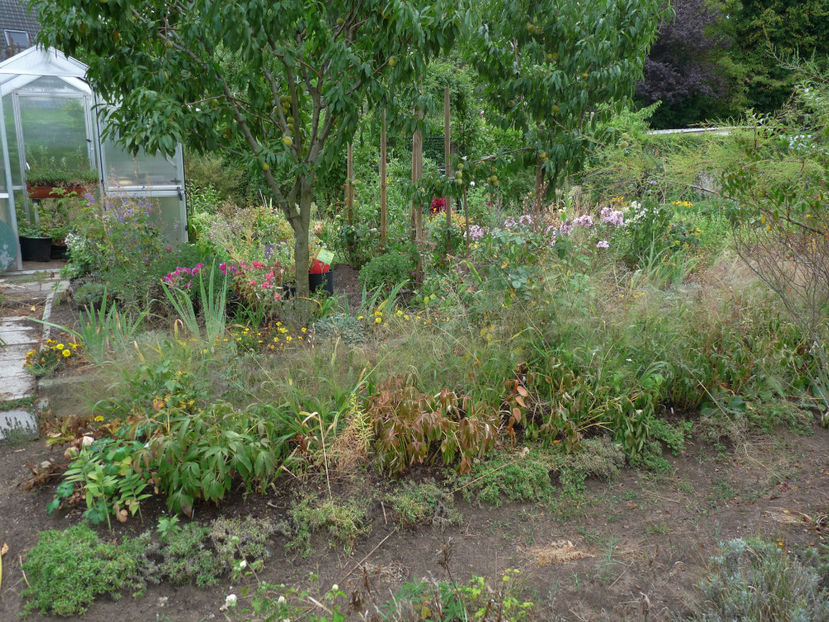  - 2018 - 03 - Toamna