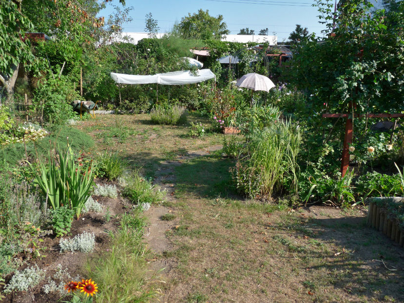 Cat se poate sub umbrela si prelata! - 2018 - 02 - Vara