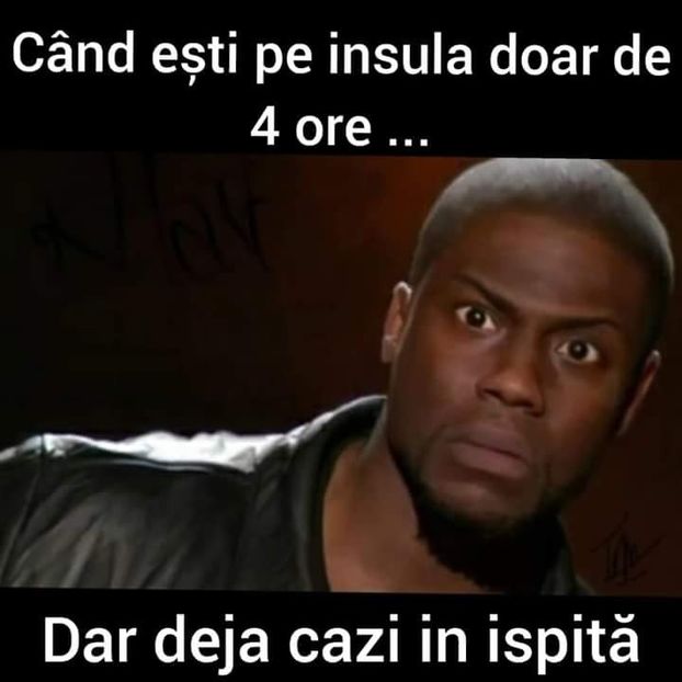  - Sezonul 4 insula iubirii - memes 1