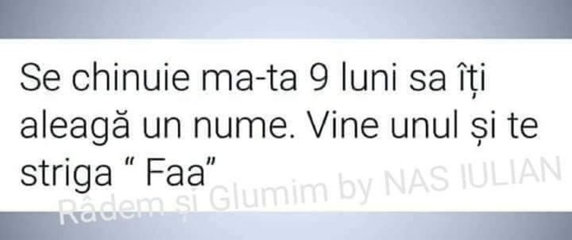  - Sezonul 4 insula iubirii - memes 1
