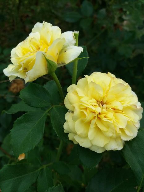  - The sun and the heat