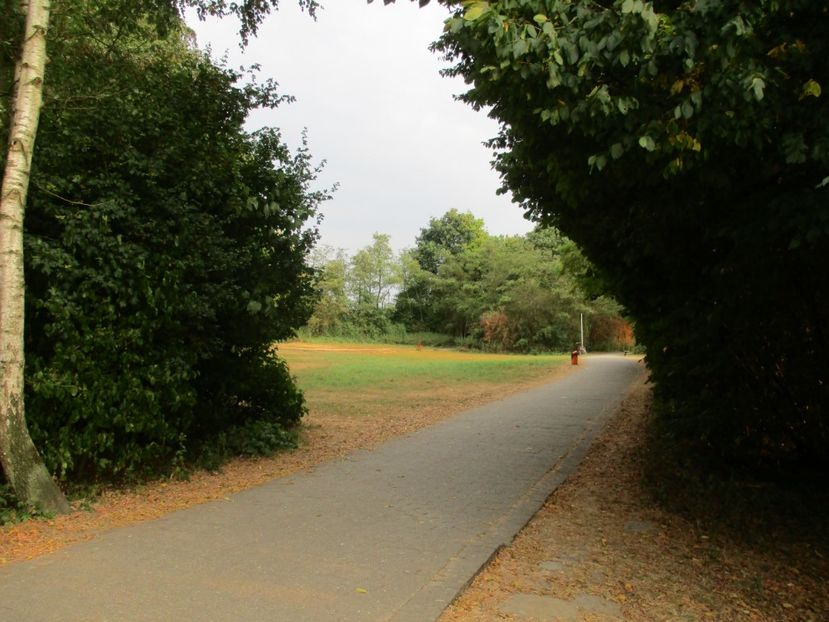  - Amintiri 2018 Gent si alte orase