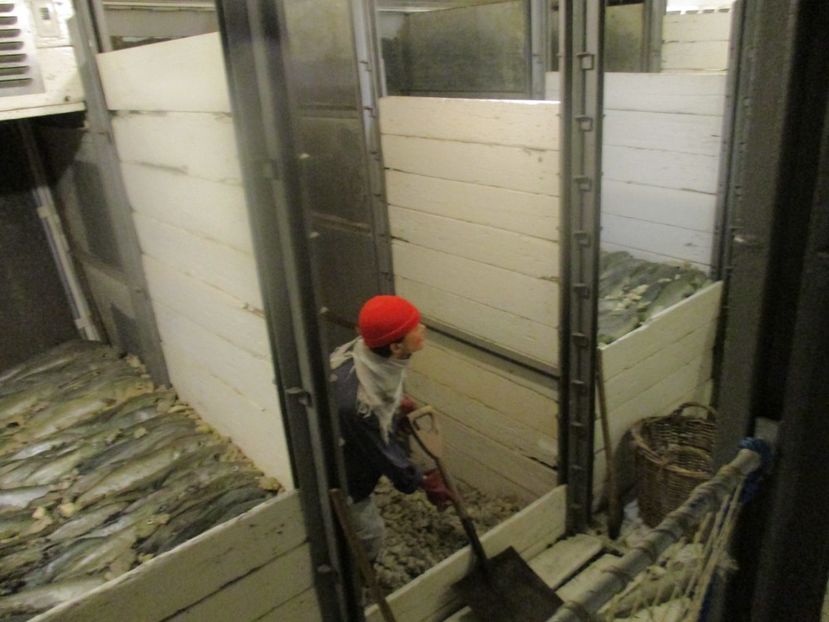  - Amintiri 2018 Gent si alte orase