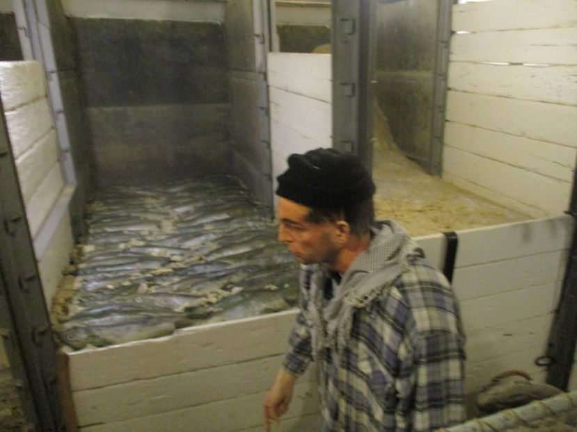  - Amintiri 2018 Gent si alte orase