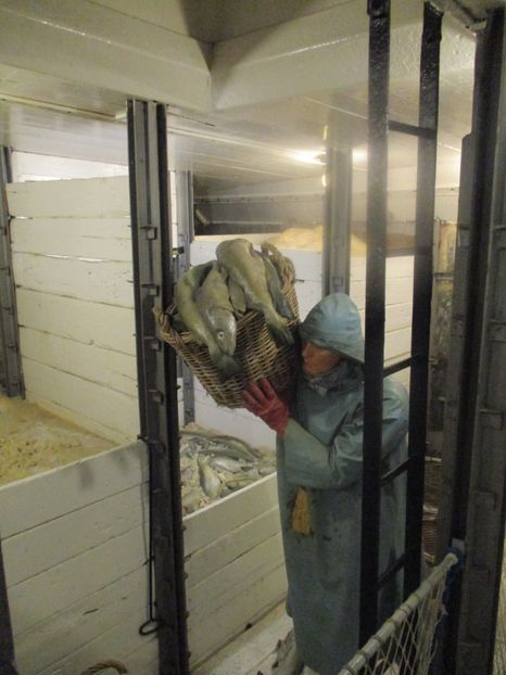  - Amintiri 2018 Gent si alte orase