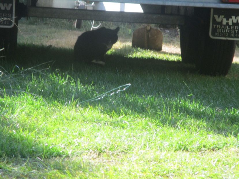  - Amintiri 2018 Gent si alte orase
