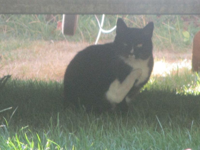  - Amintiri 2018 Gent si alte orase