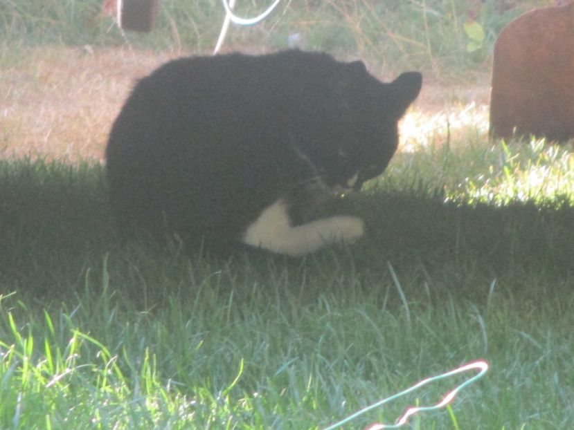  - Amintiri 2018 Gent si alte orase