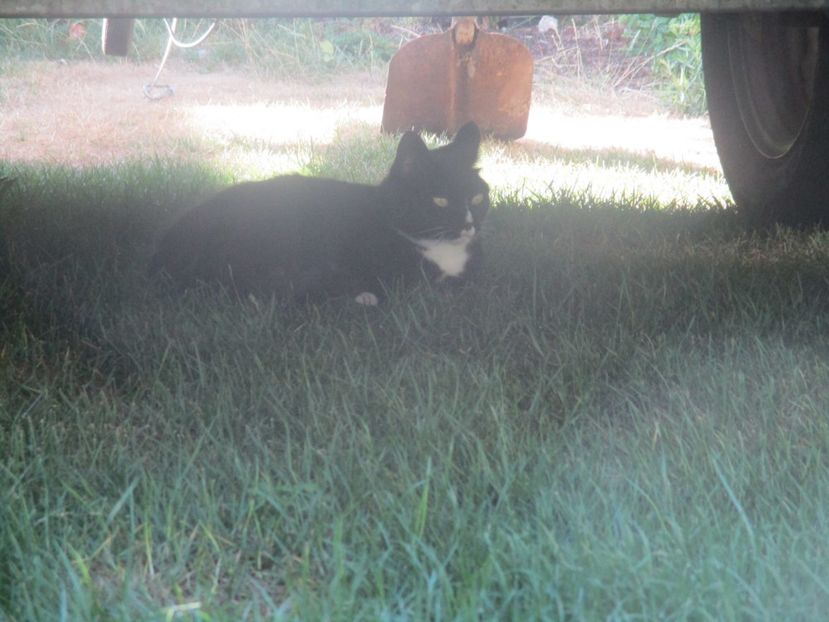  - Amintiri 2018 Gent si alte orase