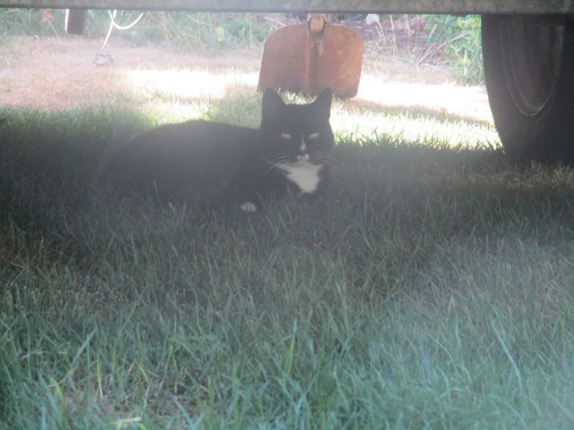  - Amintiri 2018 Gent si alte orase