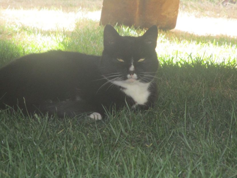  - Amintiri 2018 Gent si alte orase