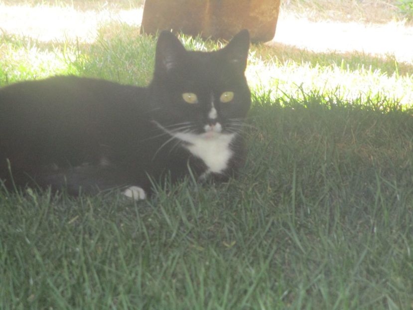  - Amintiri 2018 Gent si alte orase