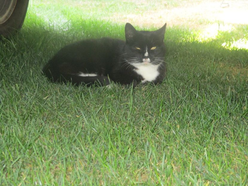  - Amintiri 2018 Gent si alte orase