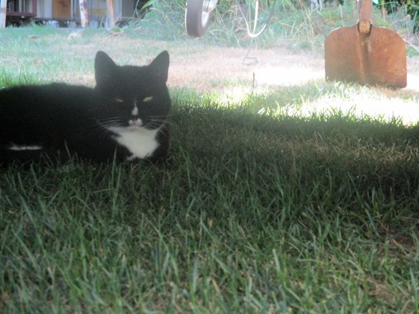  - Amintiri 2018 Gent si alte orase