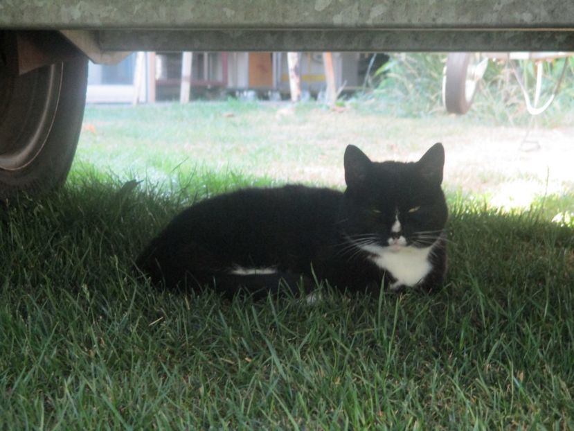  - Amintiri 2018 Gent si alte orase