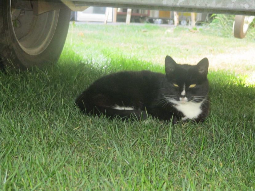  - Amintiri 2018 Gent si alte orase