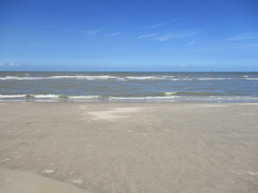  - Amintiri 2018 Gent si alte orase