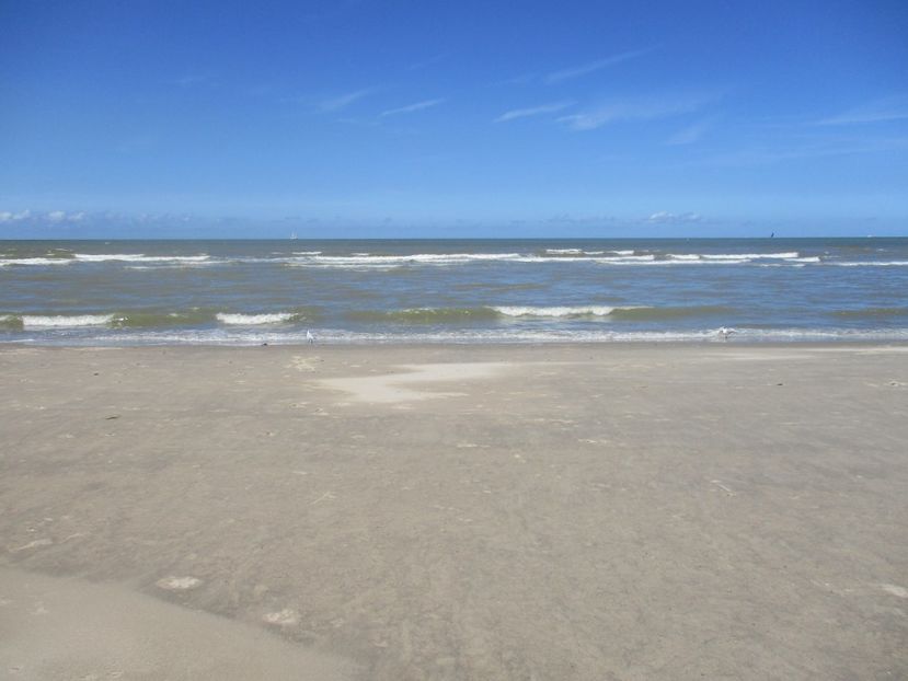  - Amintiri 2018 Gent si alte orase