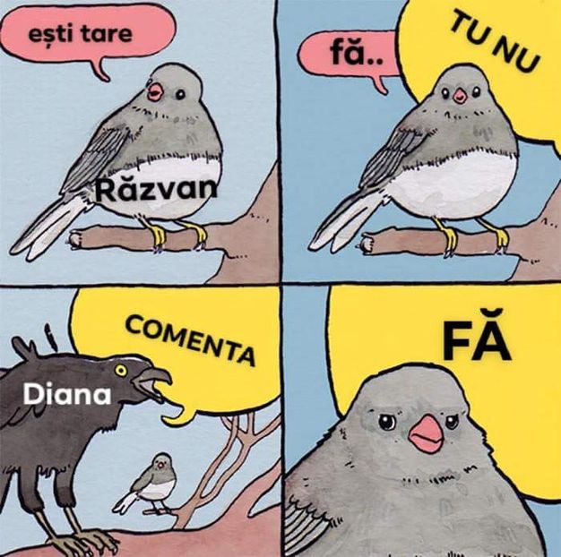  - Sezonul 4 insula iubirii - memes 1
