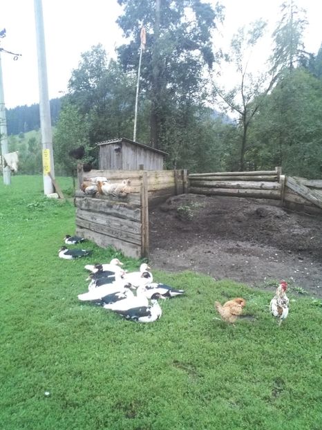  - 02 - Matca pentru 2019