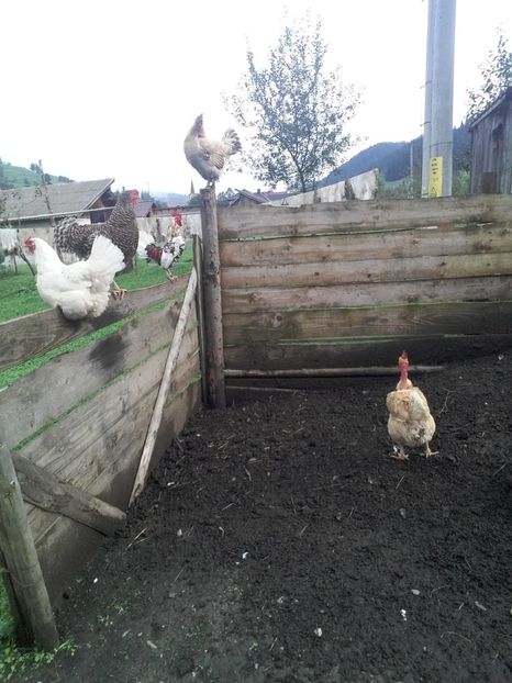  - F Gaini de tara si kabir