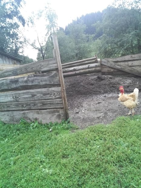  - F Gaini de tara si kabir