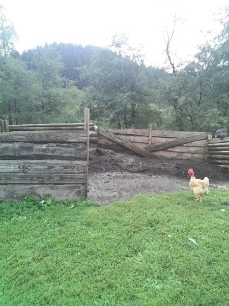  - F Gaini de tara si kabir